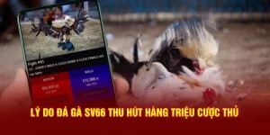 Lý do đá gà SV66 thu hút hàng triệu cược thủ