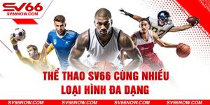 Thể thao tại SV66 với nhiều loại hình đa dạng